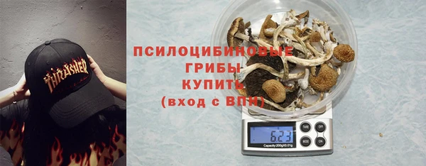 хмурый Вяземский