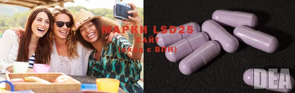 хмурый Вяземский