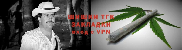 хмурый Вяземский