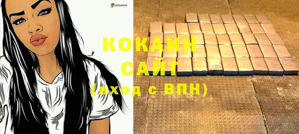 хмурый Вяземский