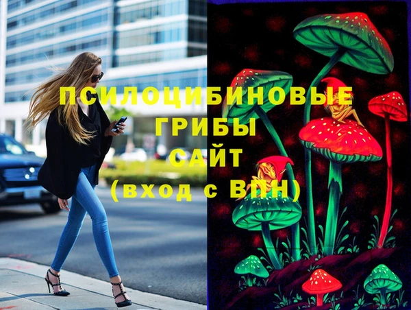 герыч Вязьма