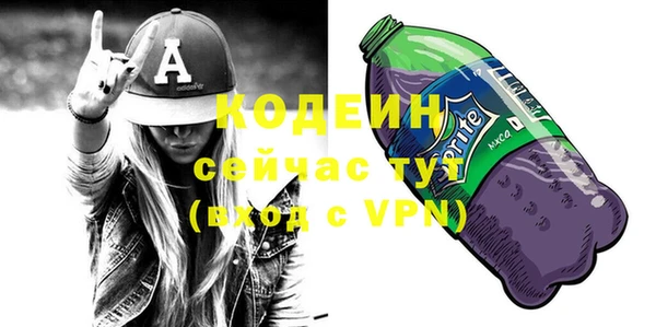 хмурый Вяземский