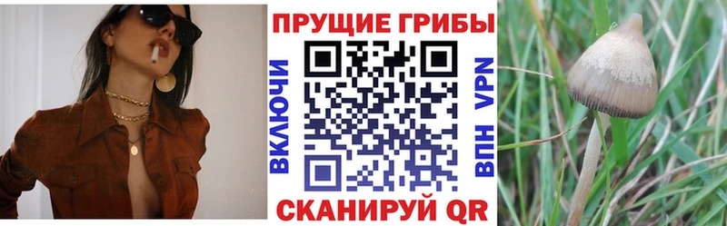 Купить  Полярные Зори  Галлюциногенные грибы мухоморы 