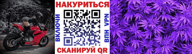 Бошки Шишки планчик Полярные Зори